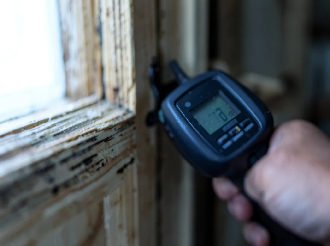 Moisture Inspection And Documentation in Haddonfield, NJ